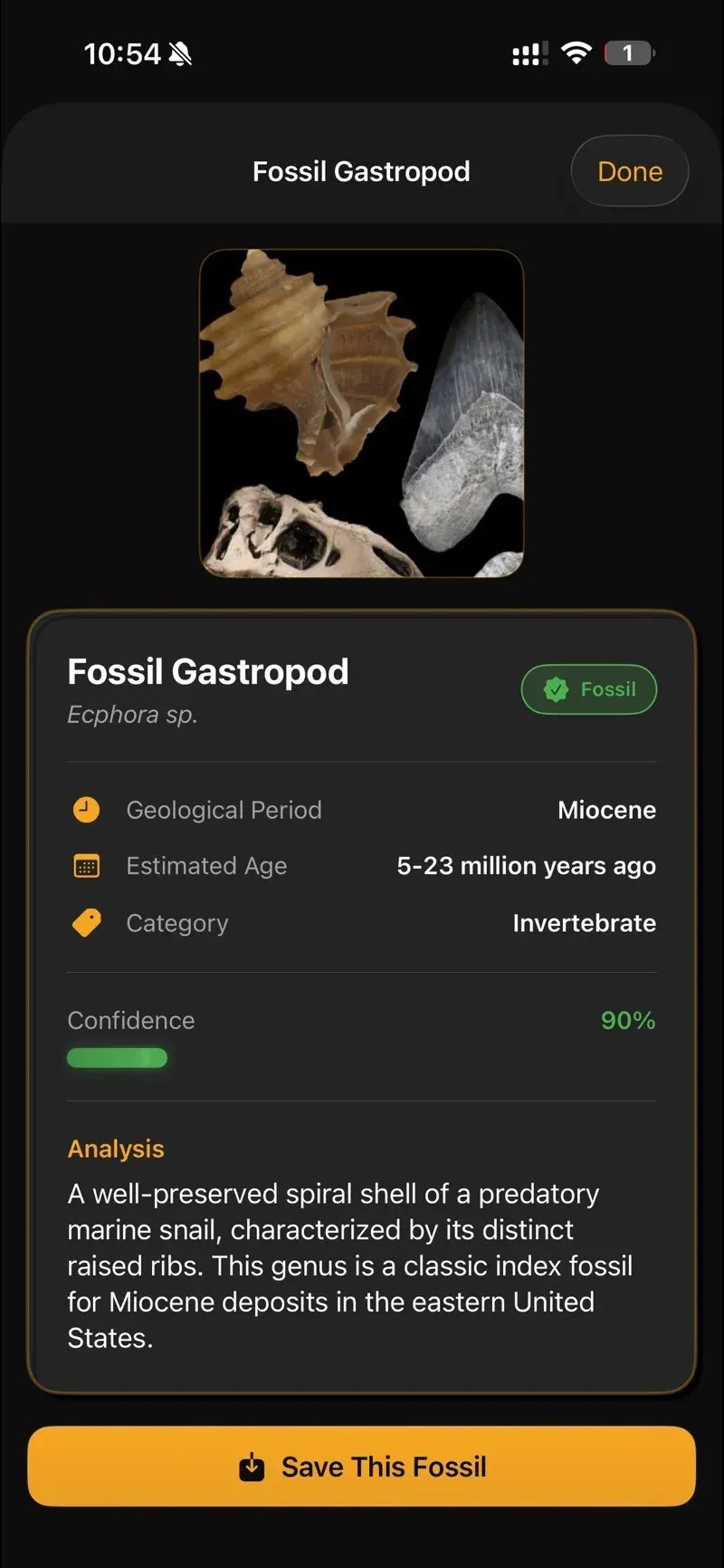 Fossil gastropod result with period, age and confidence