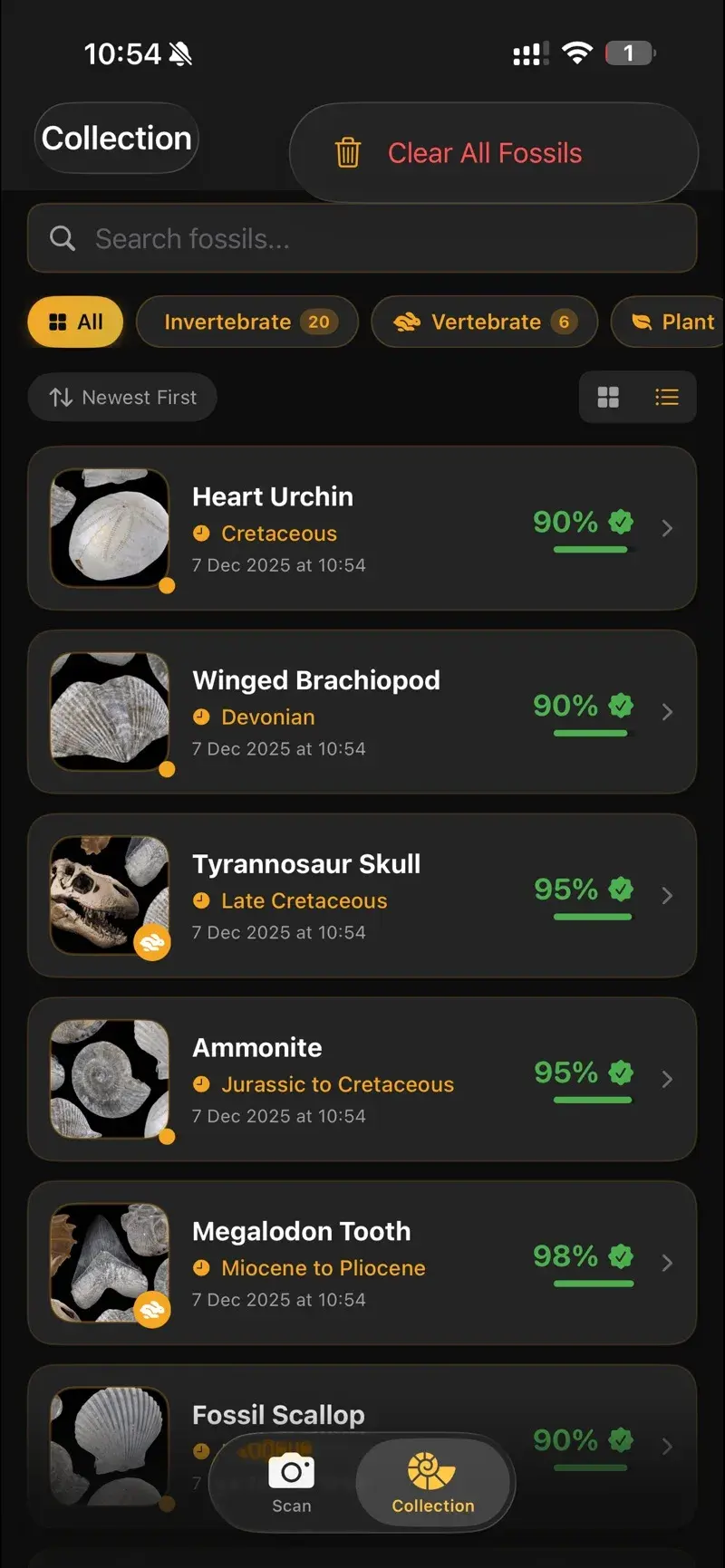 Collection filtered by category