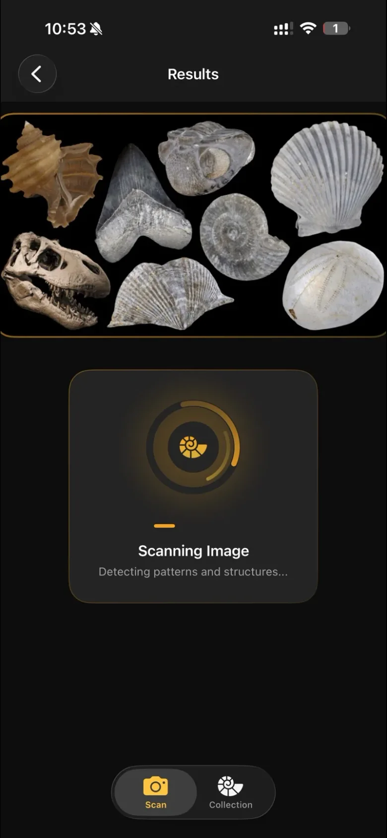 Fossilise on screen